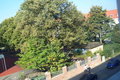 Blick aus Fenster in Richtung Schulhof