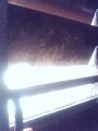 Fenster