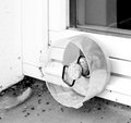 Vorschaubild der Version vom 21:15, 24. Sep. 2006