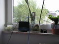 Router mit Antenne